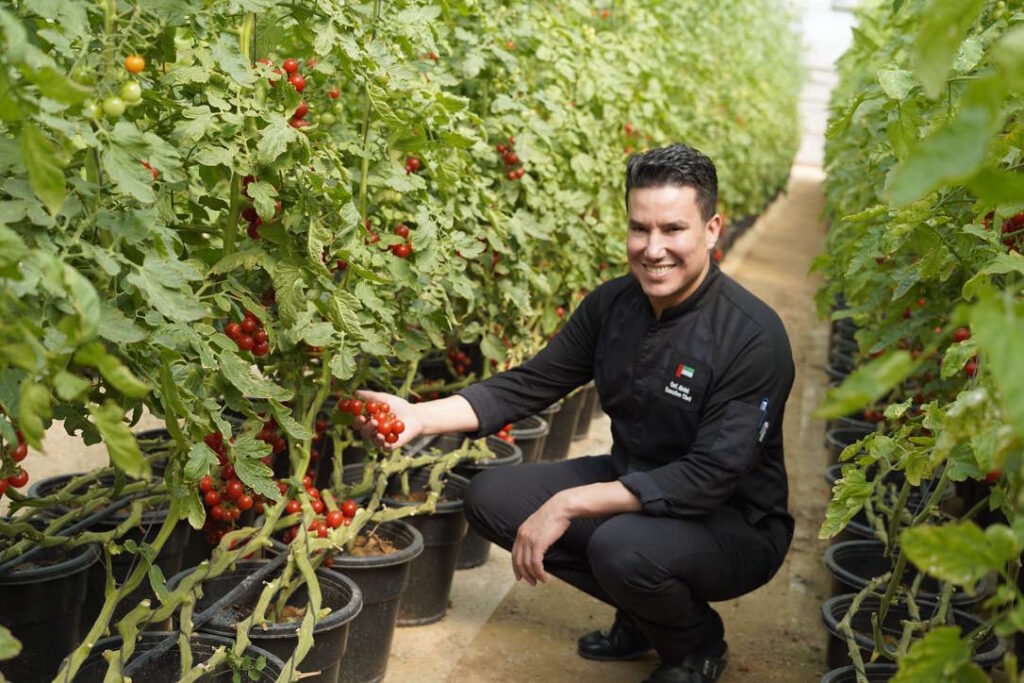 Oaks Ibn Battuta Gate Hotel launches sustainable F&B initiatives   to reduce carbon emissions & waste